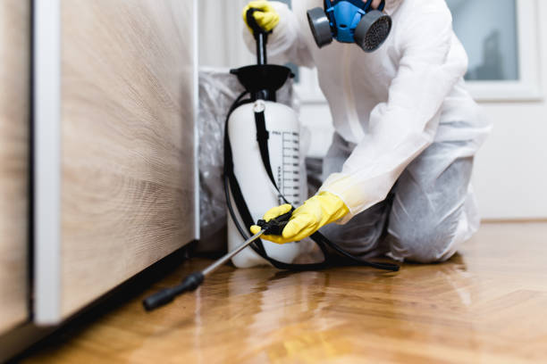 Best Termite Control Services  in Kibler, AR