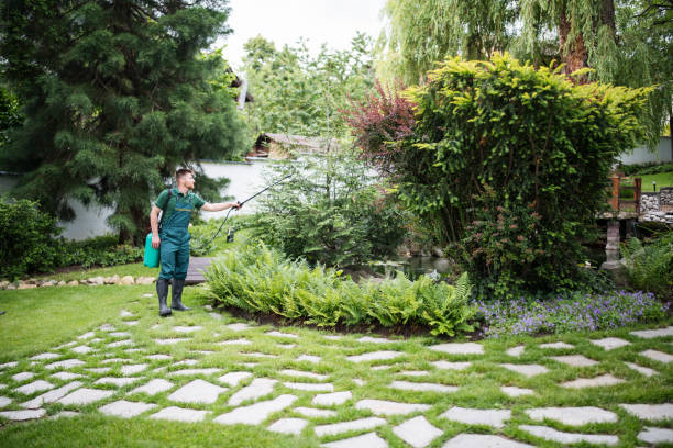 Best Affordable Pest Control Services  in Kibler, AR