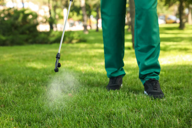 Best Best Pest Control Near Me  in Kibler, AR