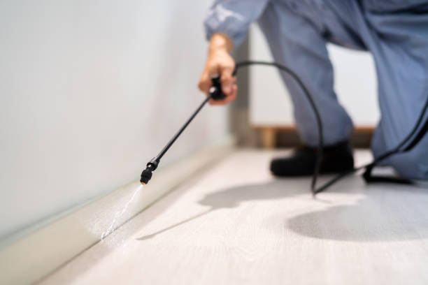 Best Emergency Pest Control  in Kibler, AR
