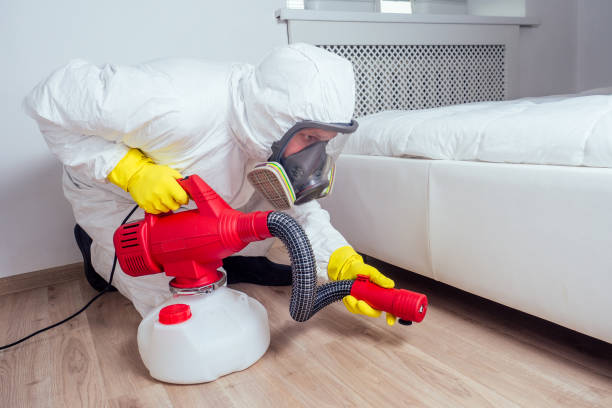 Best Affordable Pest Control Services  in Kibler, AR