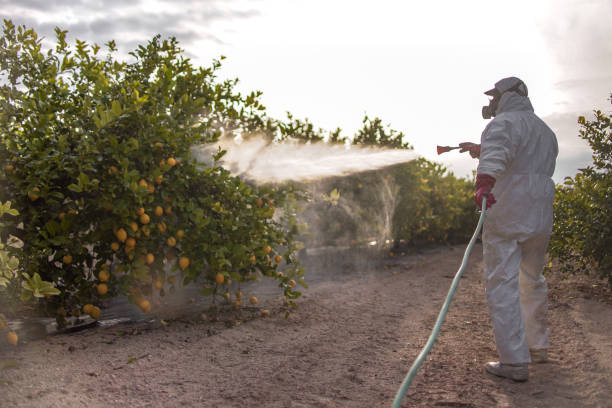 Reliable Kibler, AR Pest Control Solutions