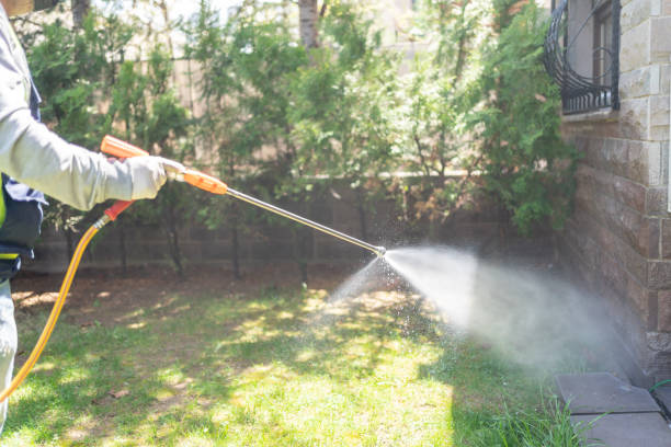 Best Pest Removal Services  in Kibler, AR