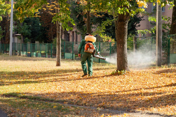 Best Wasp Removal Services  in Kibler, AR