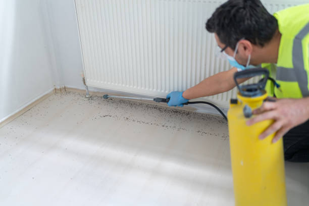 Best Exterminator Services  in Kibler, AR
