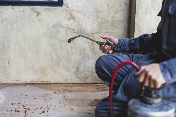 Best Commercial Pest Control Services  in Kibler, AR
