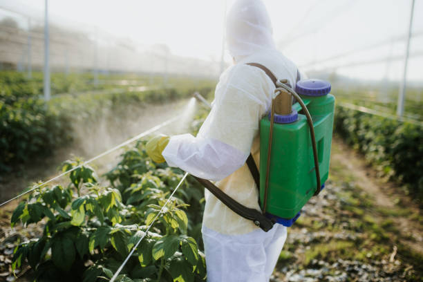 Best Pest Control Near Me in Kibler, AR